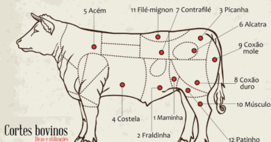 Carne bovina: conheça seus cortes favoritos
