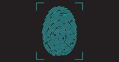 Identidade Digital Nacional (IDN) - Nova forma de identificação