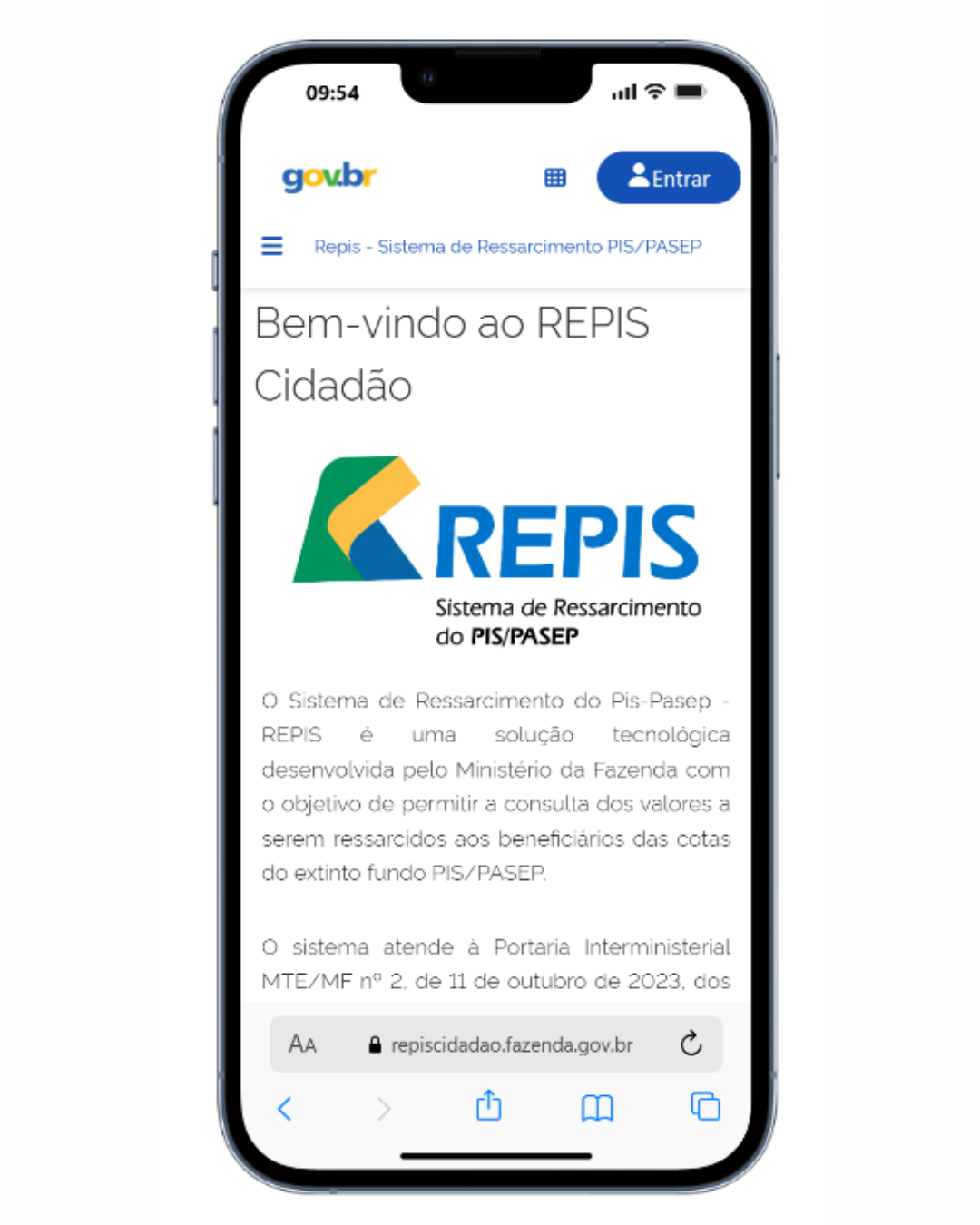 Tela inicial do REPIS Cidadão