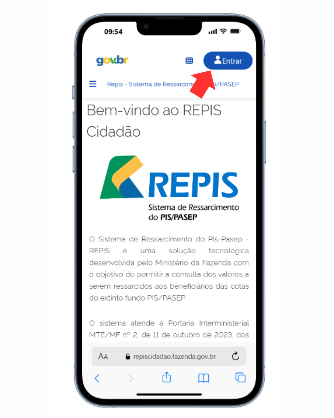 Botão Entrar com Gov.br no REPIS Cidadão